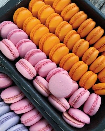 061e8e6d55bfa90d62c84eb5d90c9a53-jpg.350