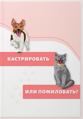 1655183363547-png.24686