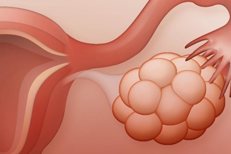 1659217086403-png.26673