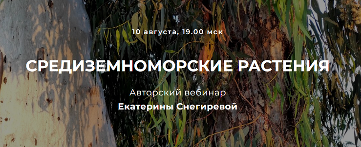 1659865424504-png.27051