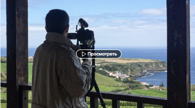 1660419898039-png.27367