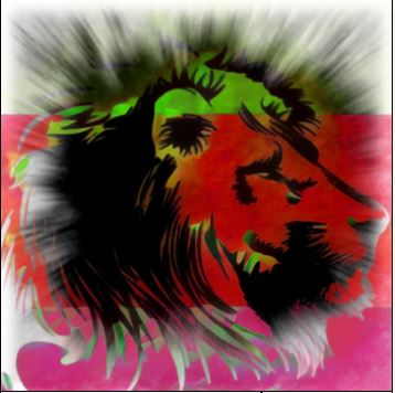 1660420245466-png.27369