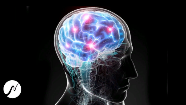 1661454828127-png.27998