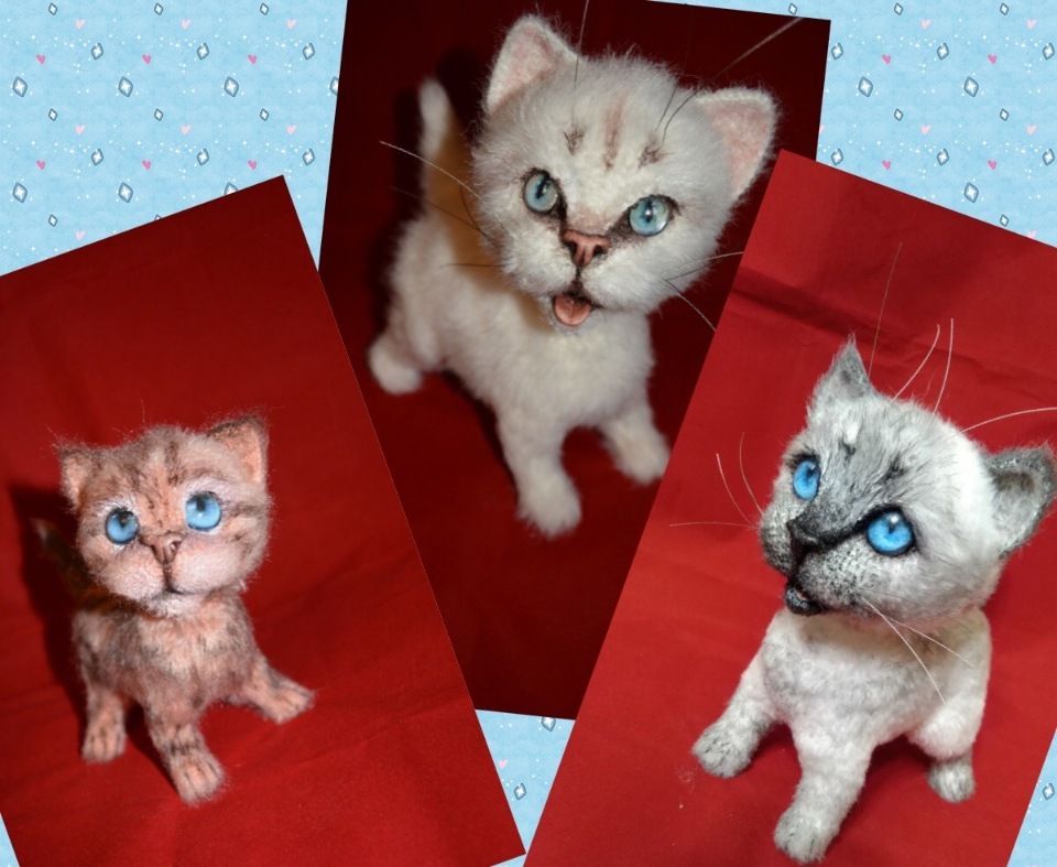 2705a914cfed-jpg.671