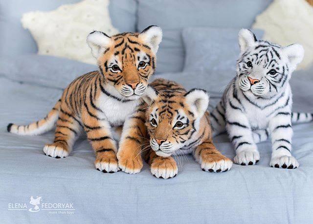 78102dc60d25-jpg.561