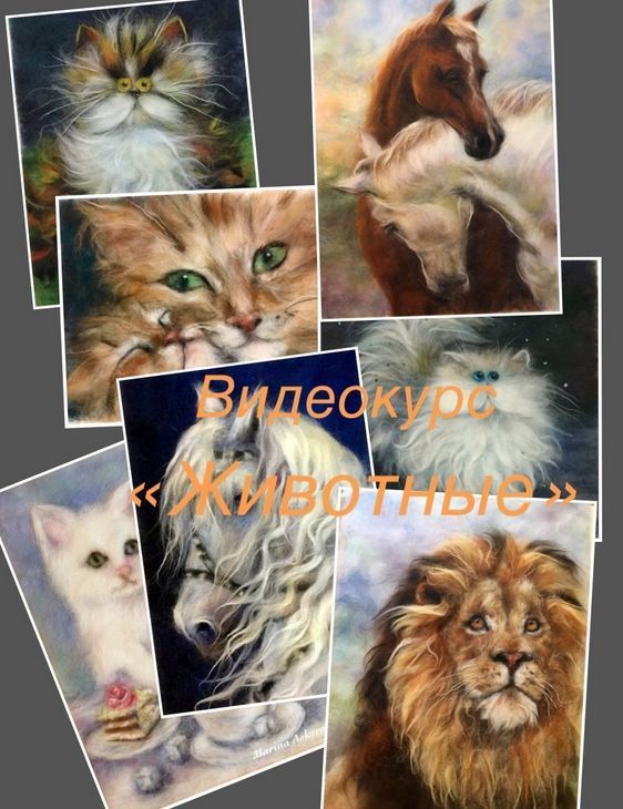 b6d6feac9b57b81fa9bf6cd6a95b406e-jpg.135