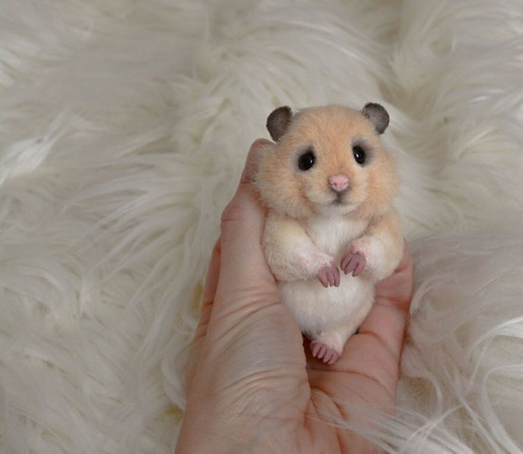 dr44-bkcdlzonru0bv_ju1mbin0b6-enmebrx-zmqtbap4rd962cnfm9-b3fptnfylaktefhudmdtxqgxzbky6ki-jpg.54603