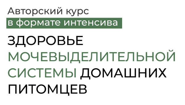 izobrazhenie_2022-06-10_122955717-png.24526