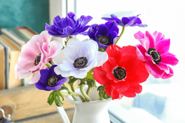 izobrazhenie_2022-06-14_234053606-png.24741