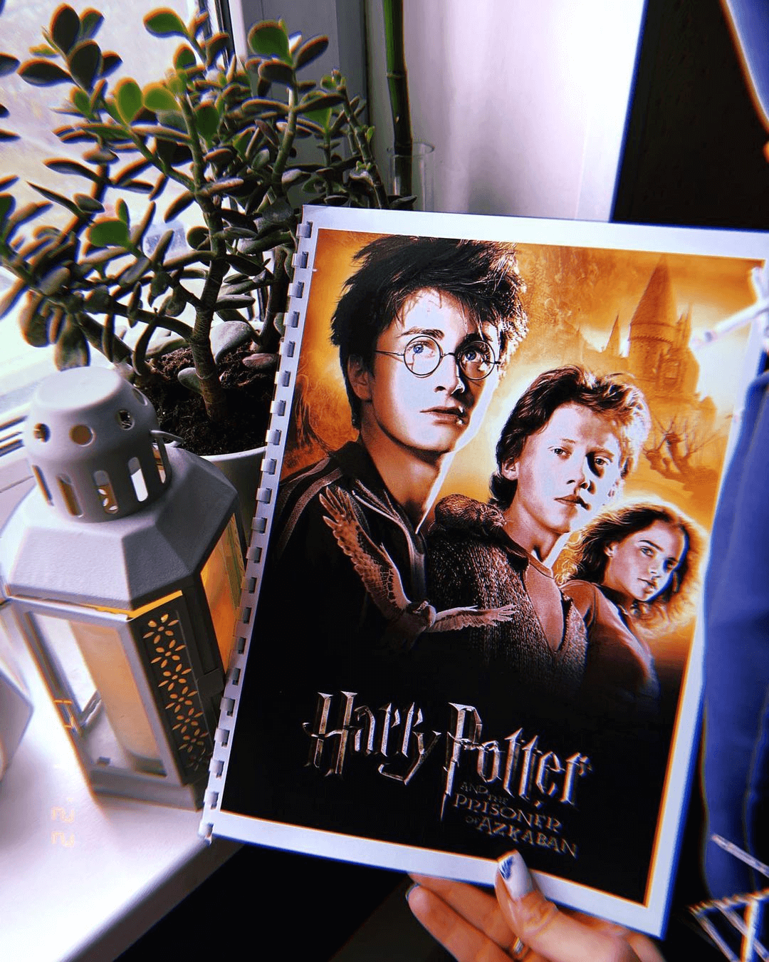 izobrazhenie_2022-06-30_141411294-png.25393