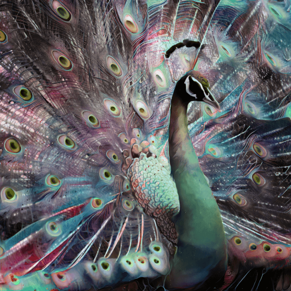 izobrazhenie_2022-07-21_013050738-png.26195