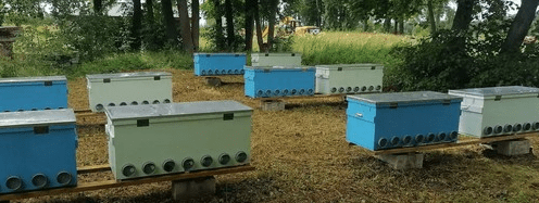 msedge_dknjhzljux-png.72712