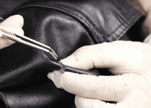 msedge_frci3po932-png.72663