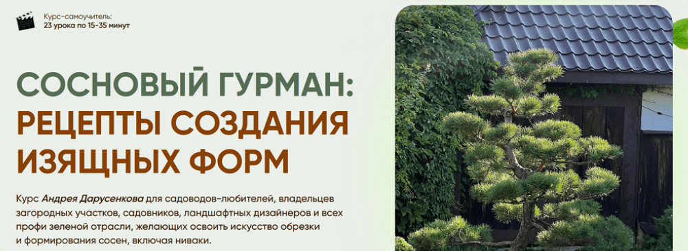 msedge_iim3dwyi6o-png.68874