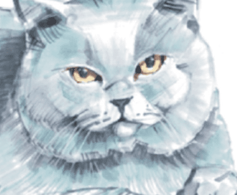 msedge_p1mzgr8tjp-png.71945