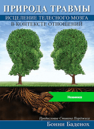 msedge_vgklzb9zjg-png.73521