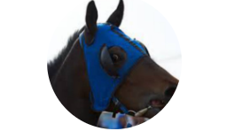 msedge_xmjvj49ect-png.70056