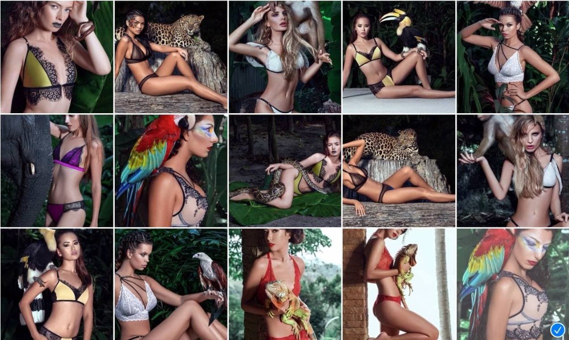 screenshot-2021-11-15-at-17-39-05-fashion-illustration-jpg.19582