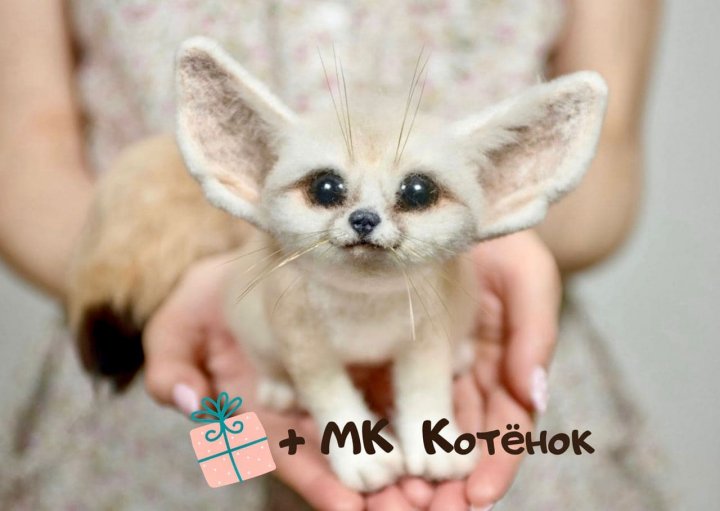 photo_2020-12-23_15- (1).jpg