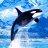 Orca